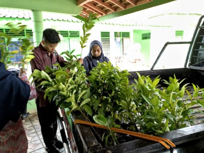 Penghijauan Sekolah